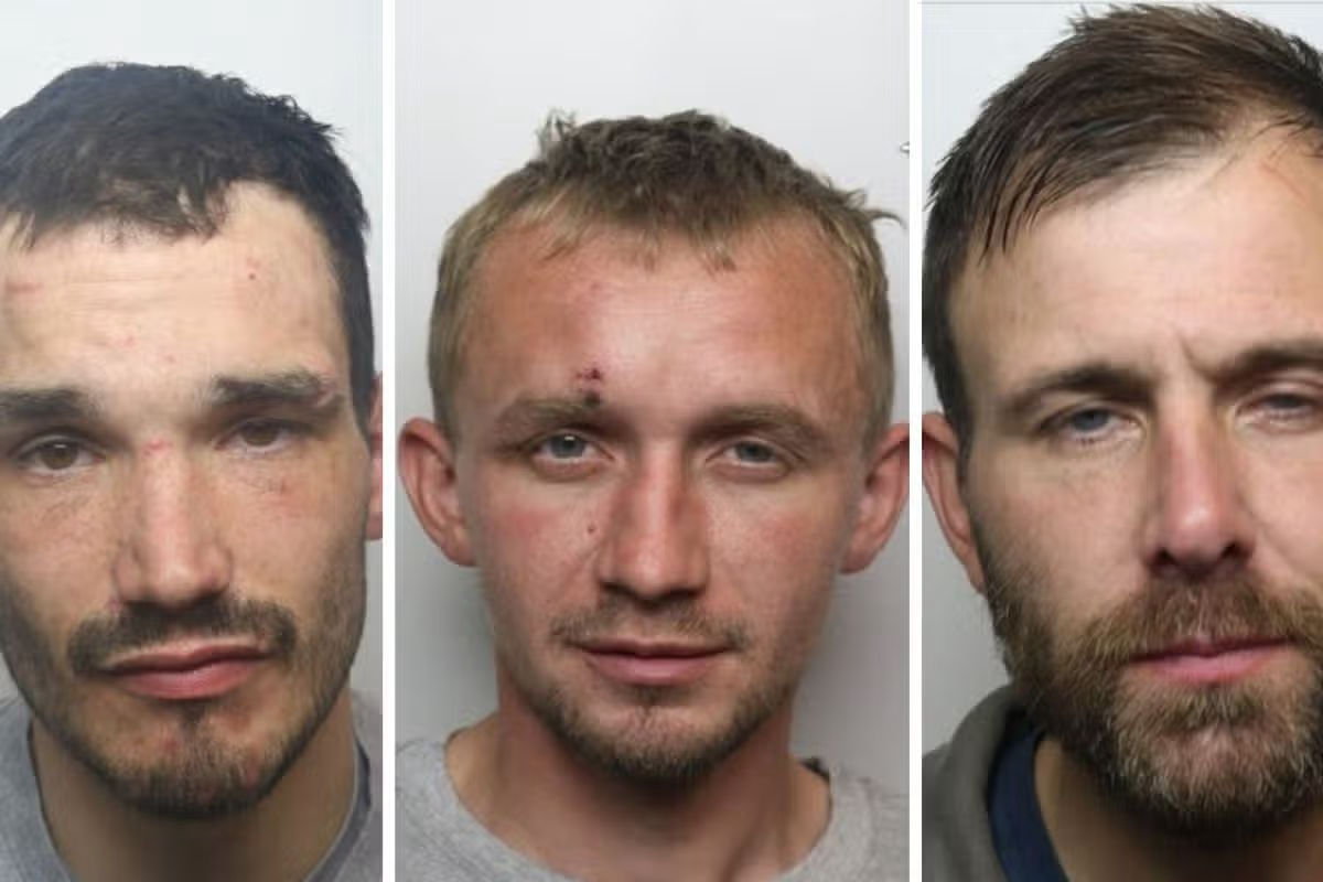James Hopper, John Martin and Adam Wright