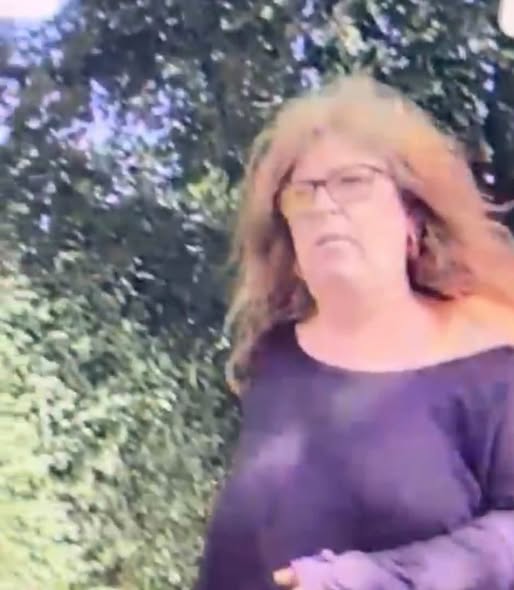 CCTV image shared by the car's owner